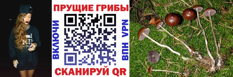 Галлюциногенные грибы MAGIC MUSHROOMS Фокино